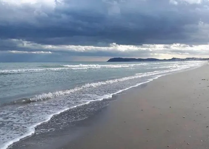 Stella Di Mare